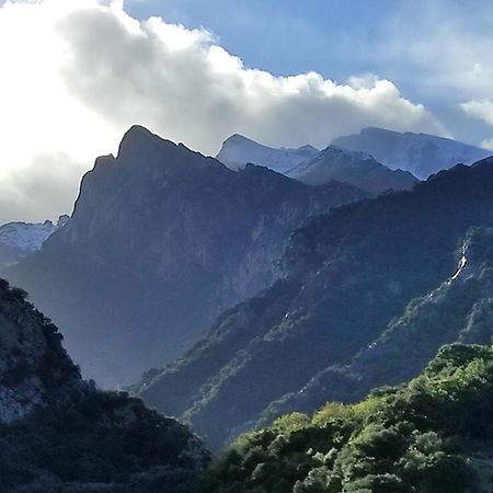 El Chalet De La Poza - Rio, Barbacoa, Wifi, Zona De Trabajo, Vistas. Lebena Eksteriør billede